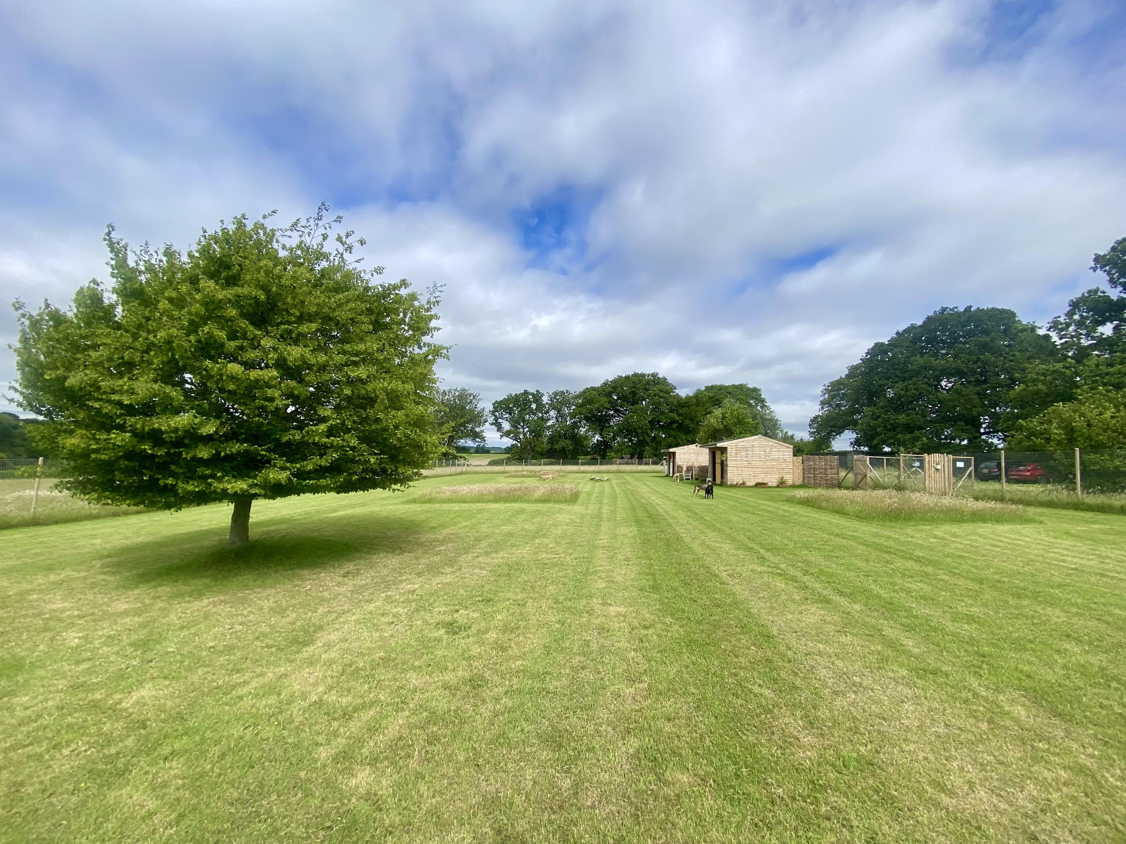 The secure play area at Pup Paradise Dog Day Care with agility equipment and countryside views